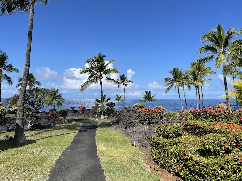 A path lined with palms, lava rock, and tropical flowers leading toward the ocean on Hawai'i Island