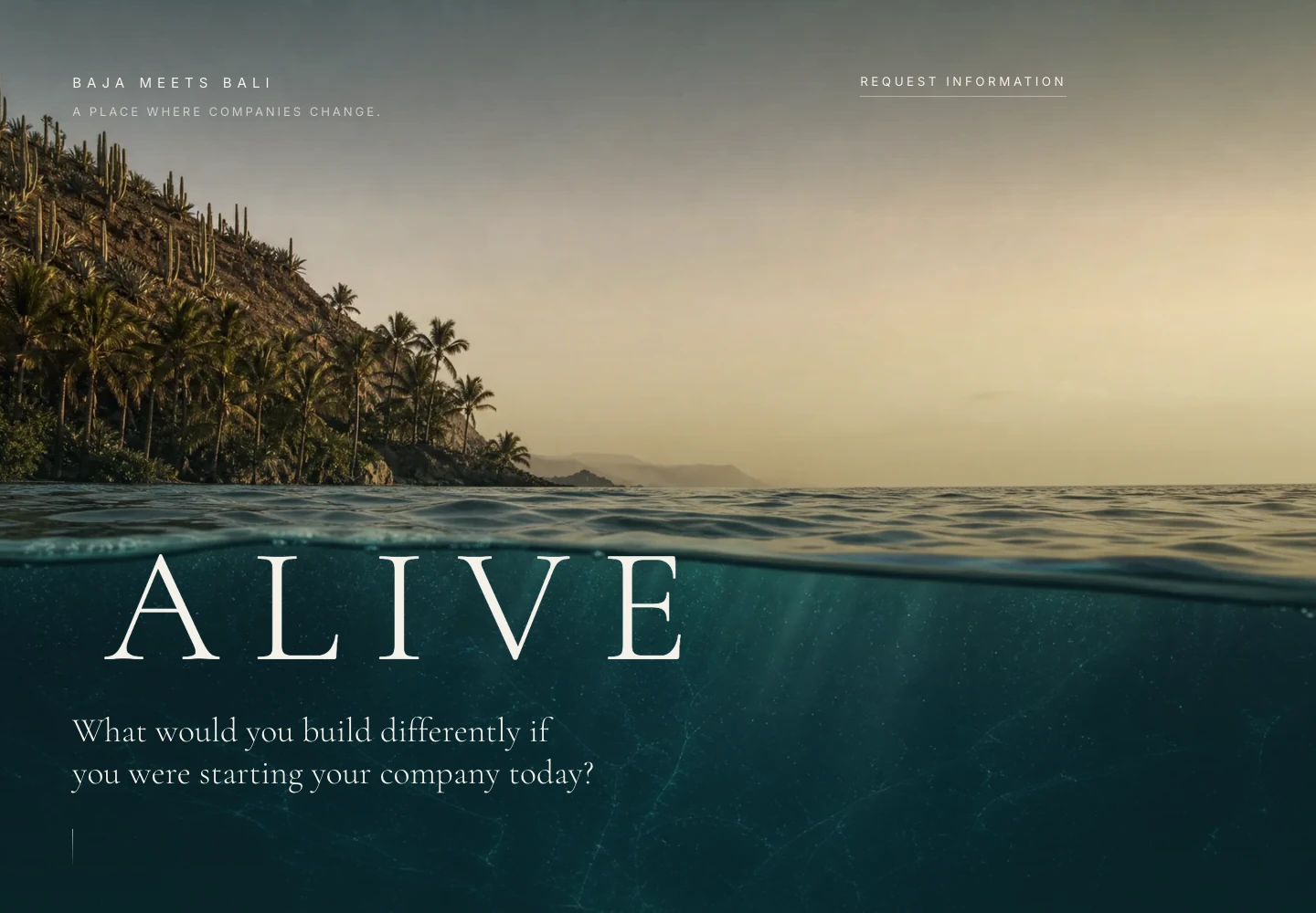 Baja Meets Bali homepage showing the ALIVE headline and the question What would you build differently if you were starting your company today?