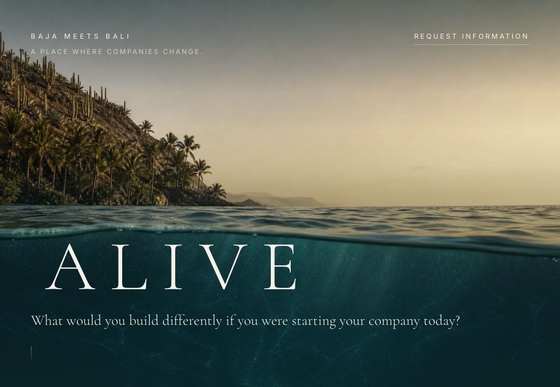 Baja Meets Bali website
