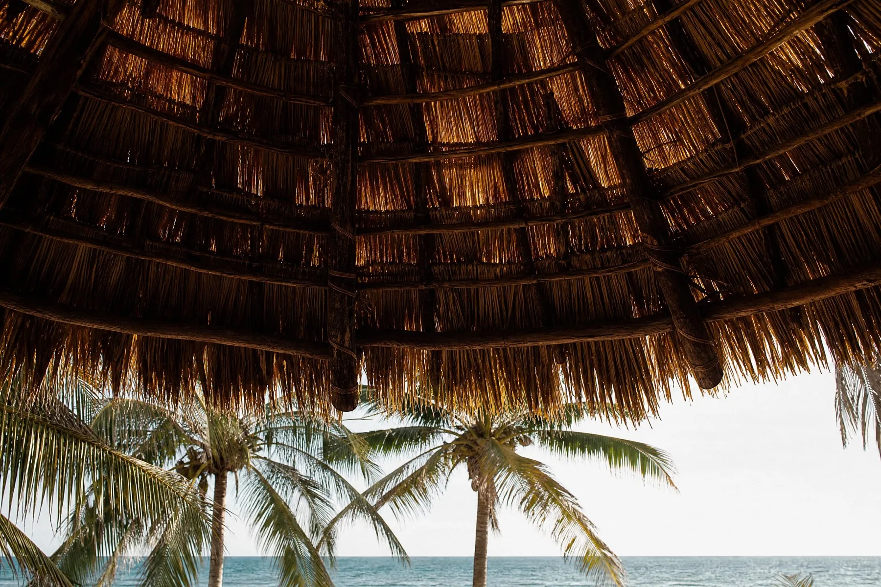 A thatched roof structure seen from below