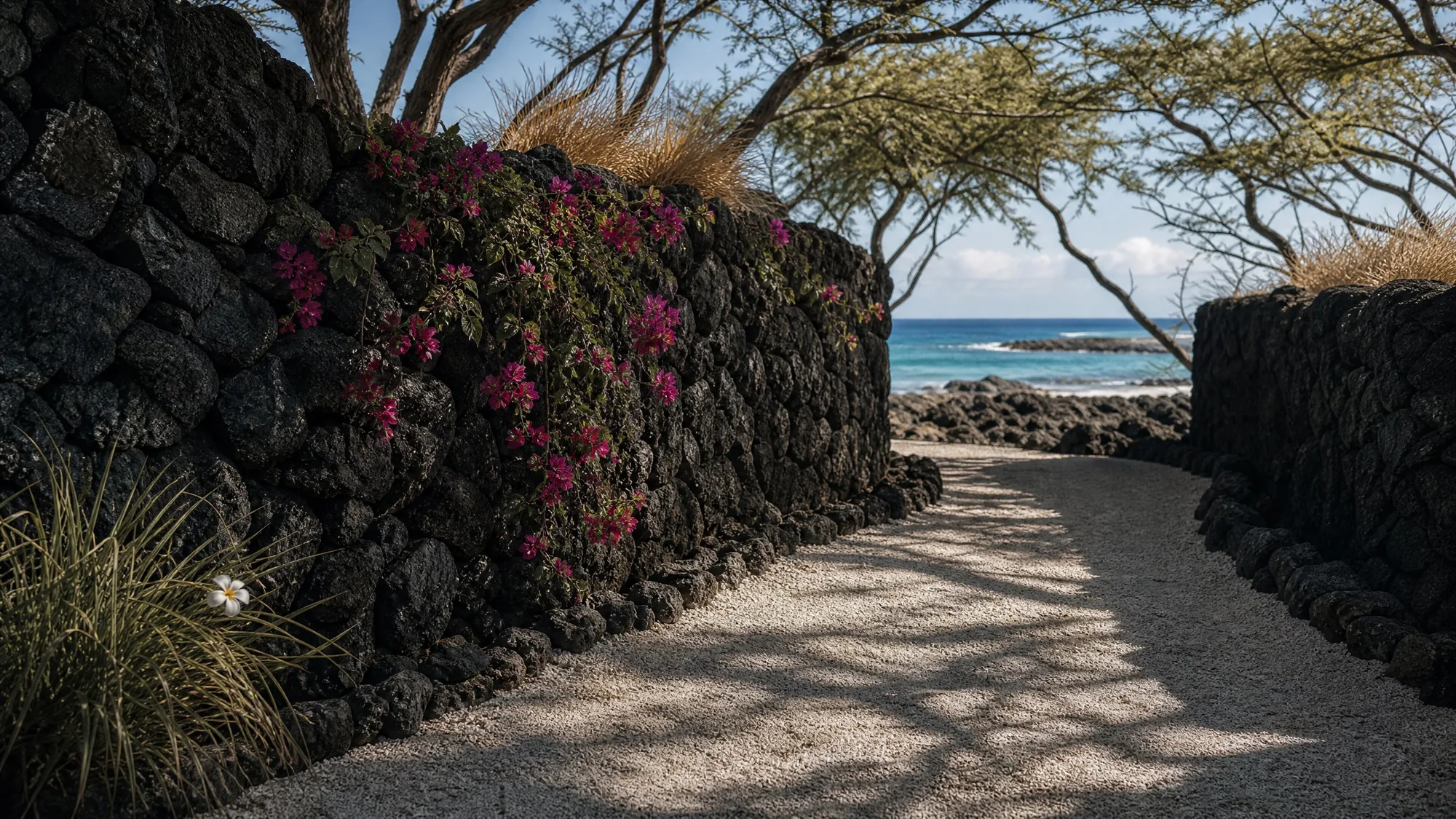 A crushed coral path running between hand-stacked lava walls and bougainvillea, out to the reef