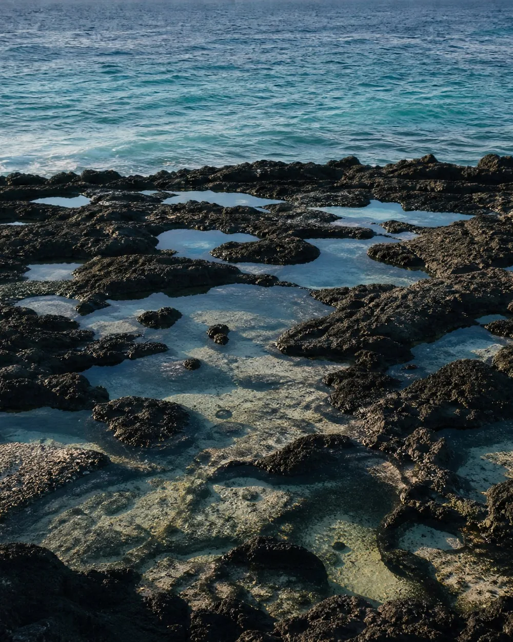 Black lava shelf holding clear tide pools, turquoise water beyond