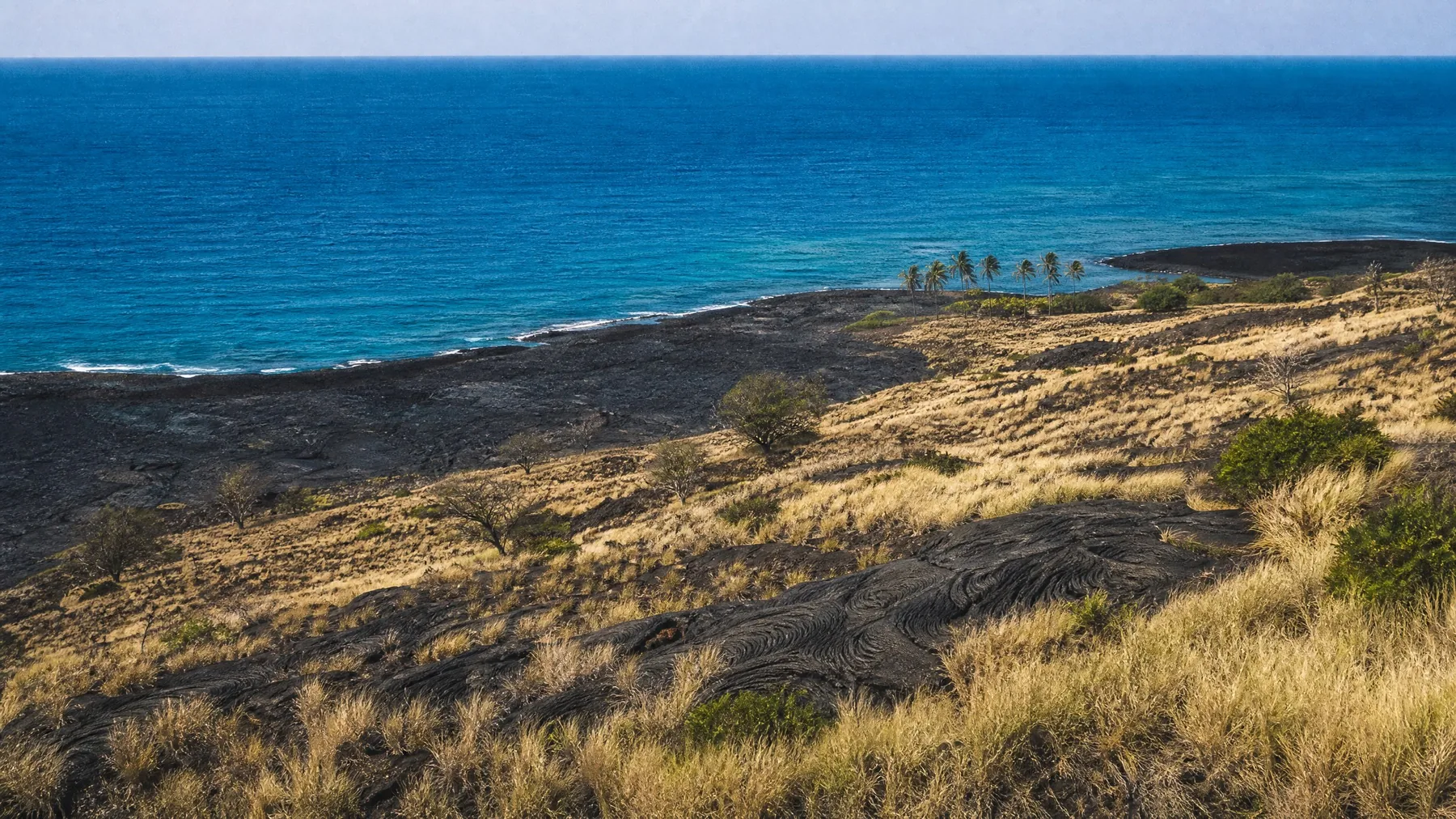 A lava flow running down to a deep blue sea, dry grass across the slope