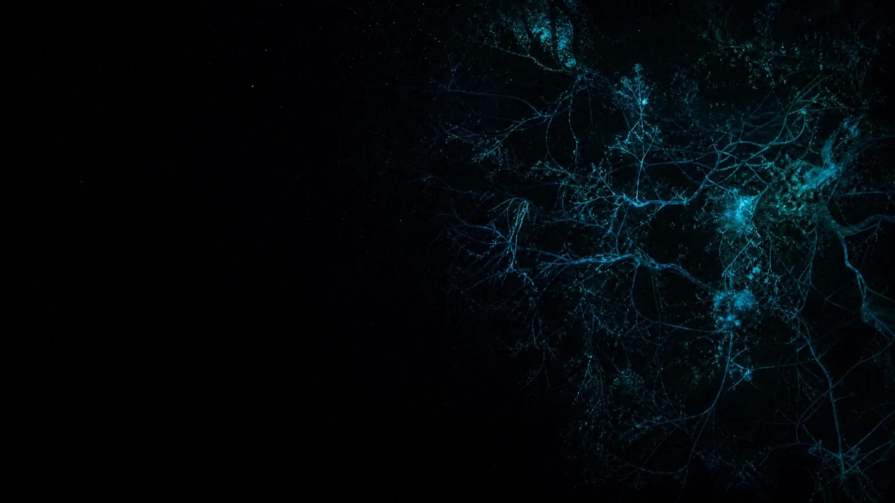 Luminous filaments of light in dark water