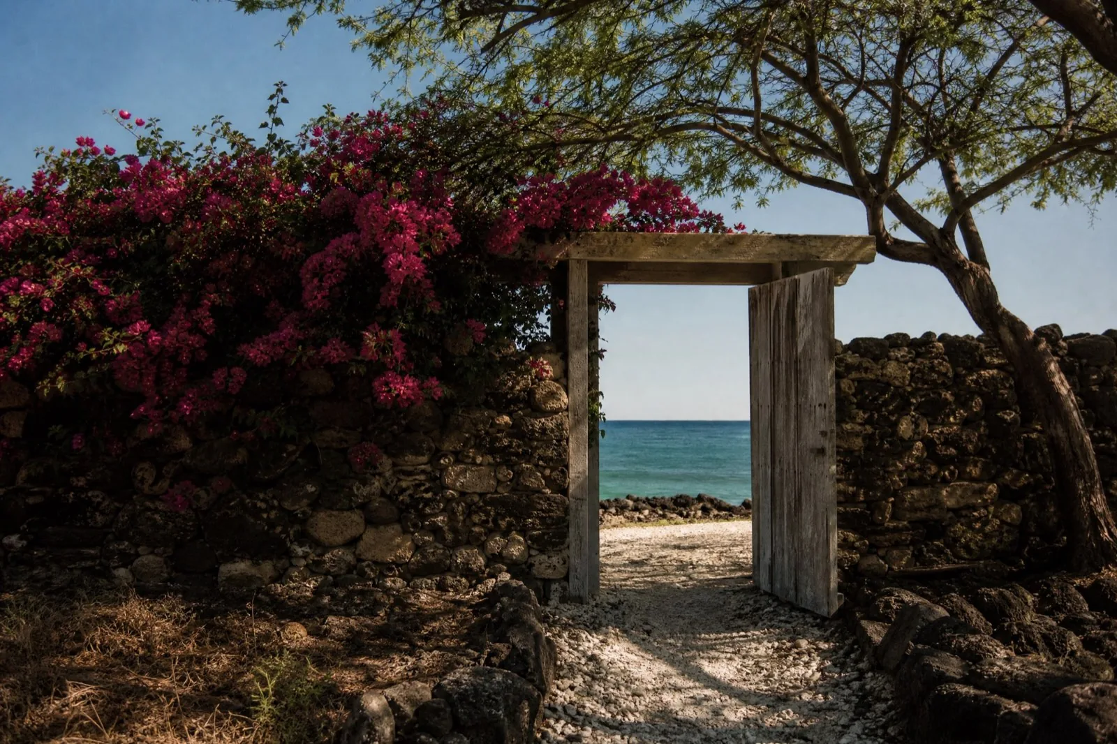 An open timber gate in a lava-rock wall, bougainvillea above, the ocean through the doorway