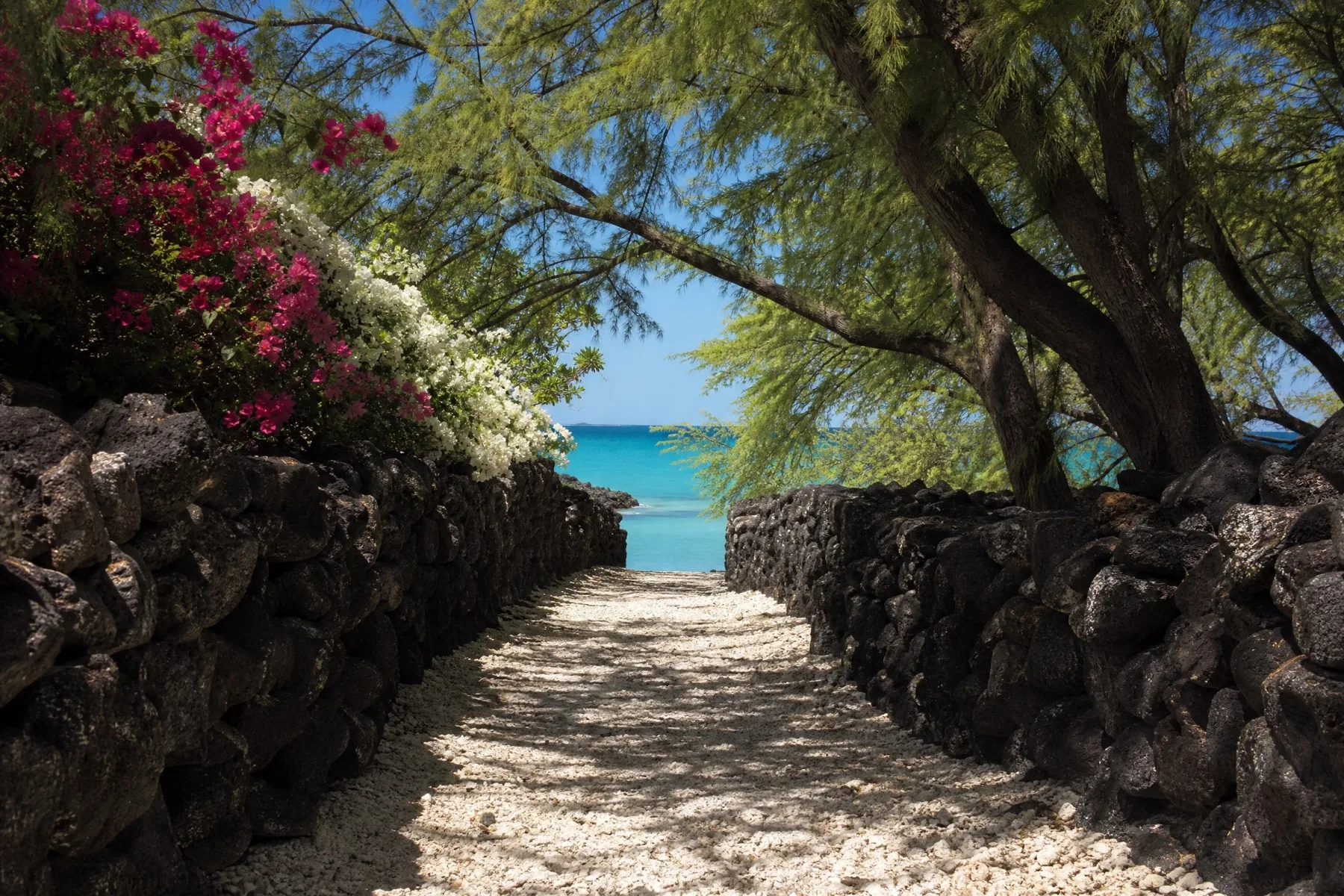A path between two lava-rock walls opening to bright water